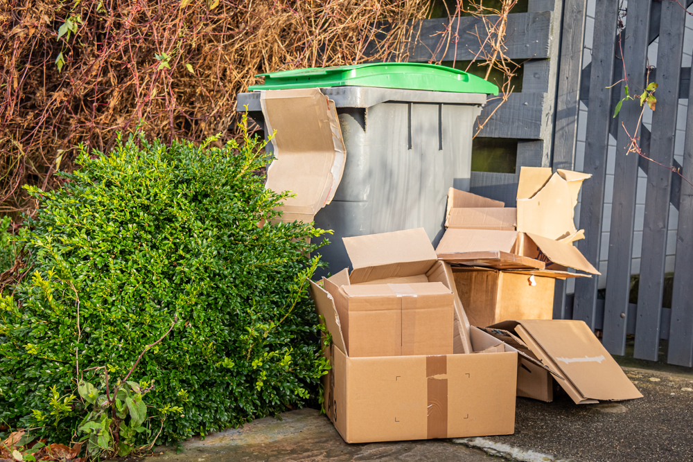 Study reveals impact of unnecessary packaging for online deliveries
