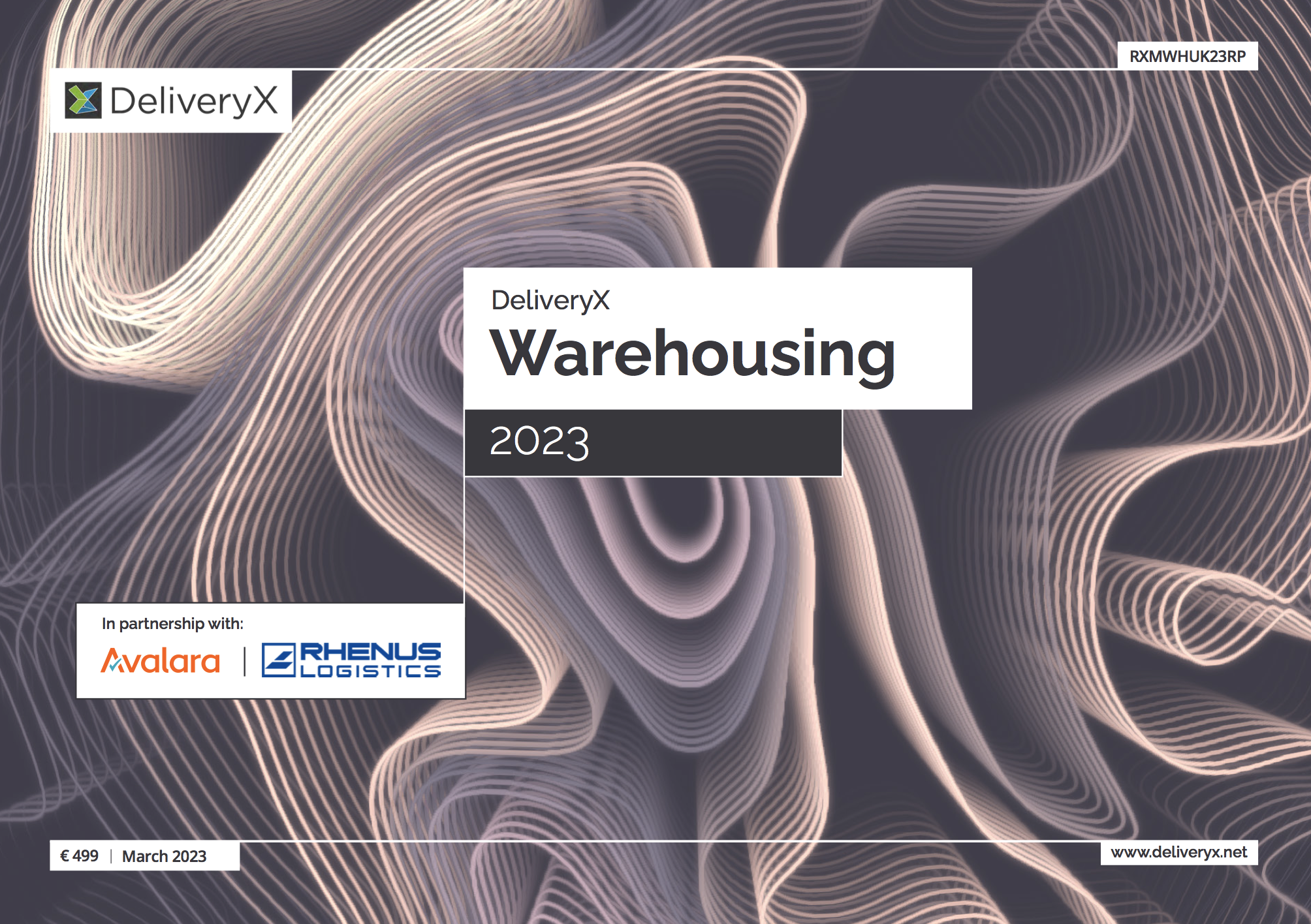 DeliveryX Warehousing Report 2023